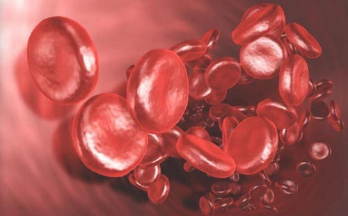 Unequal sized red blood cells (anisocytosis) can significantly affect the normal functions of the body image photo picture